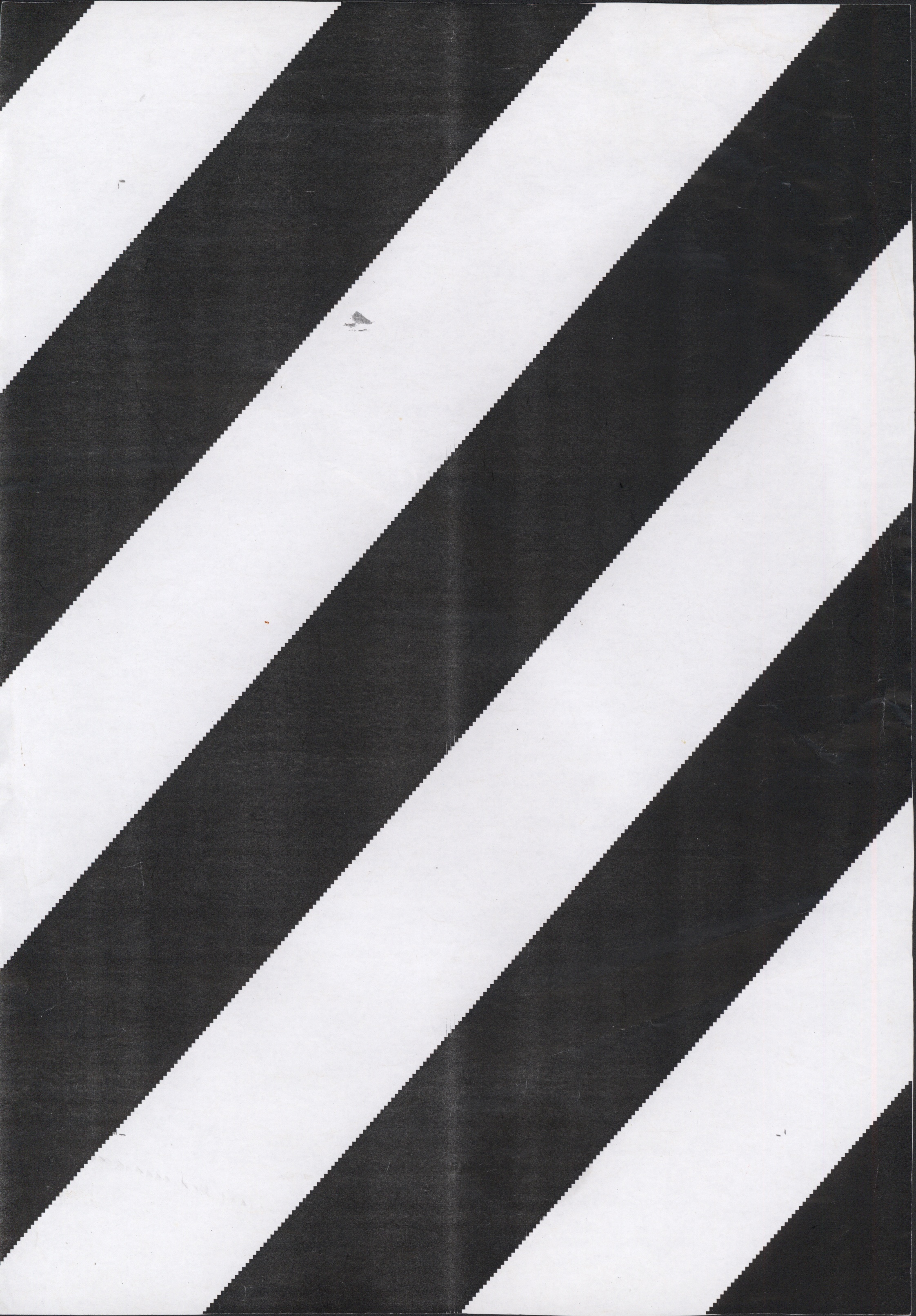 Avulsos_Koellreutter_00120