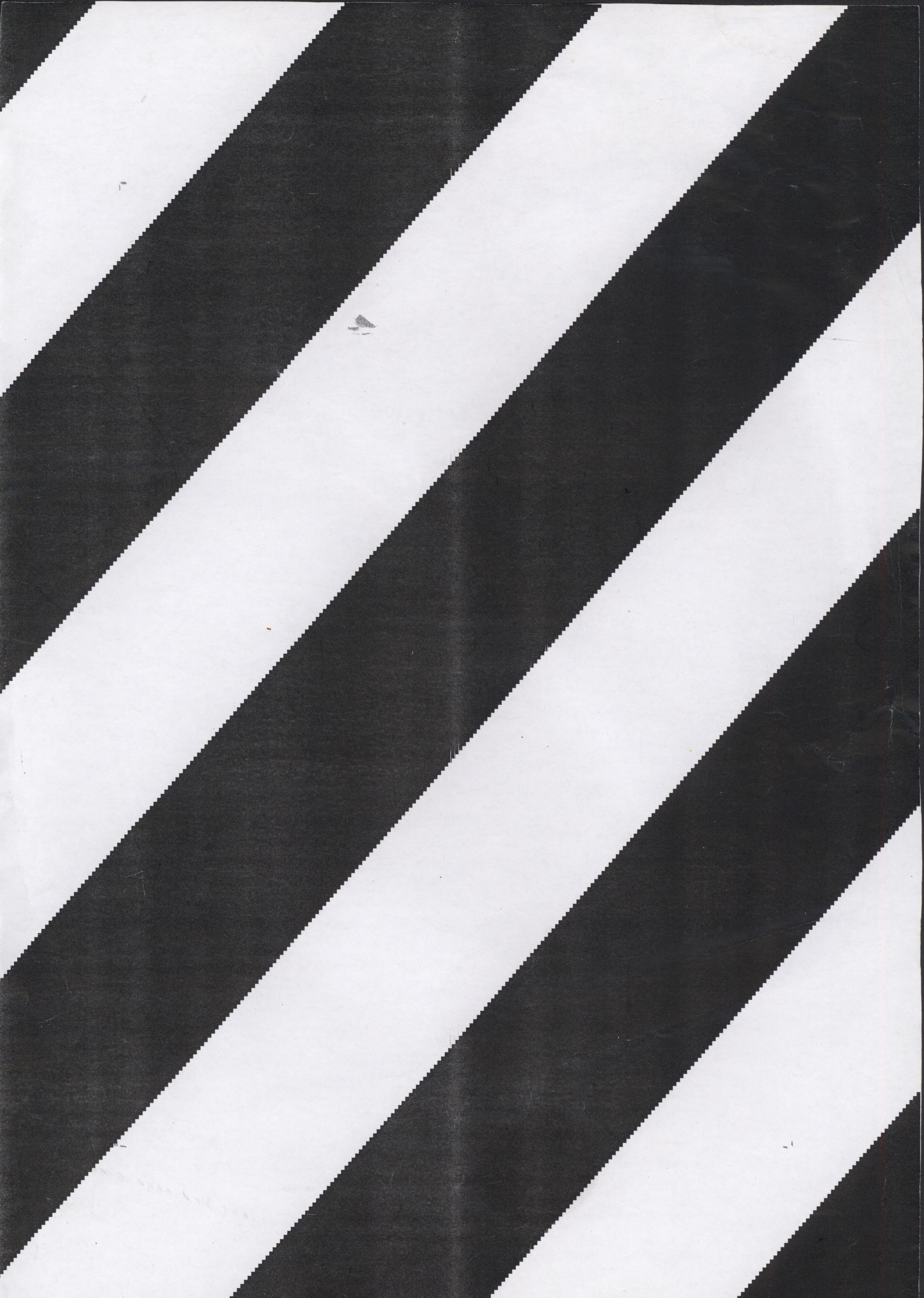 Avulsos_Koellreutter_00056