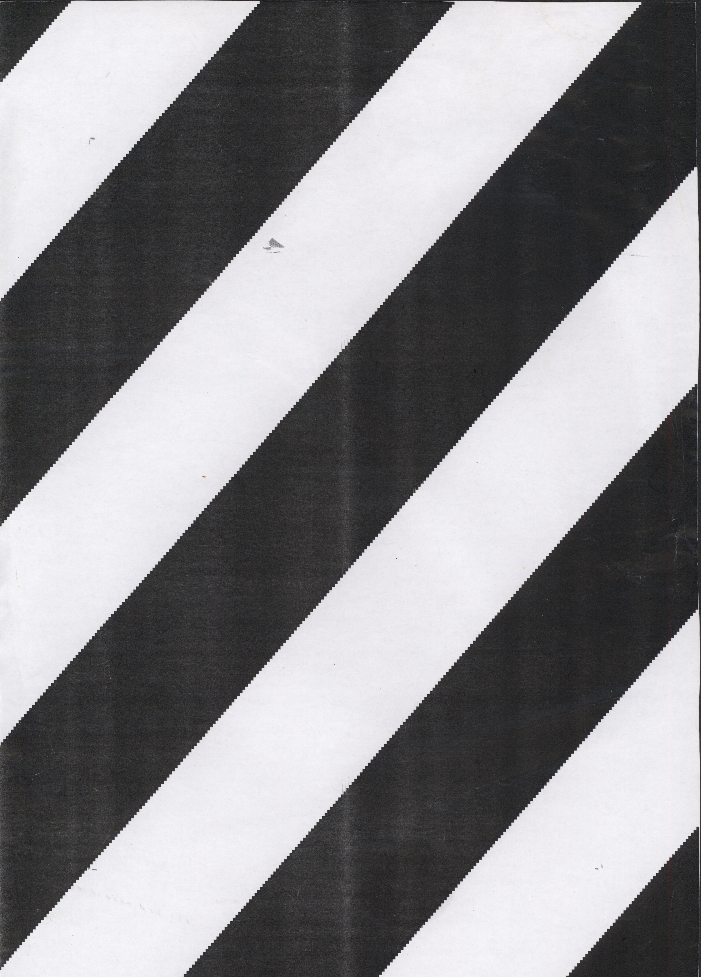 Avulsos_Koellreutter_00058