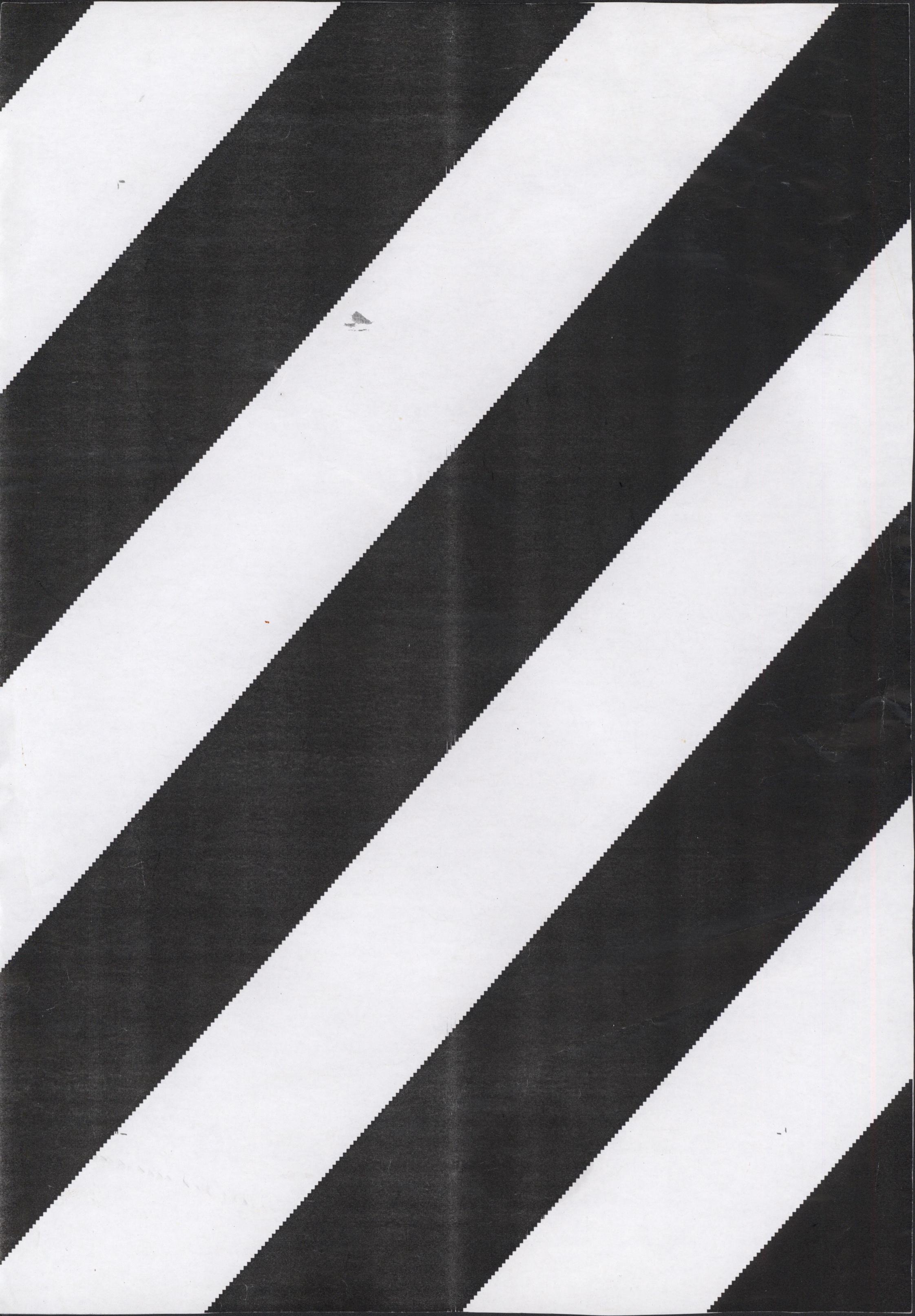 Avulsos_Koellreutter_00132