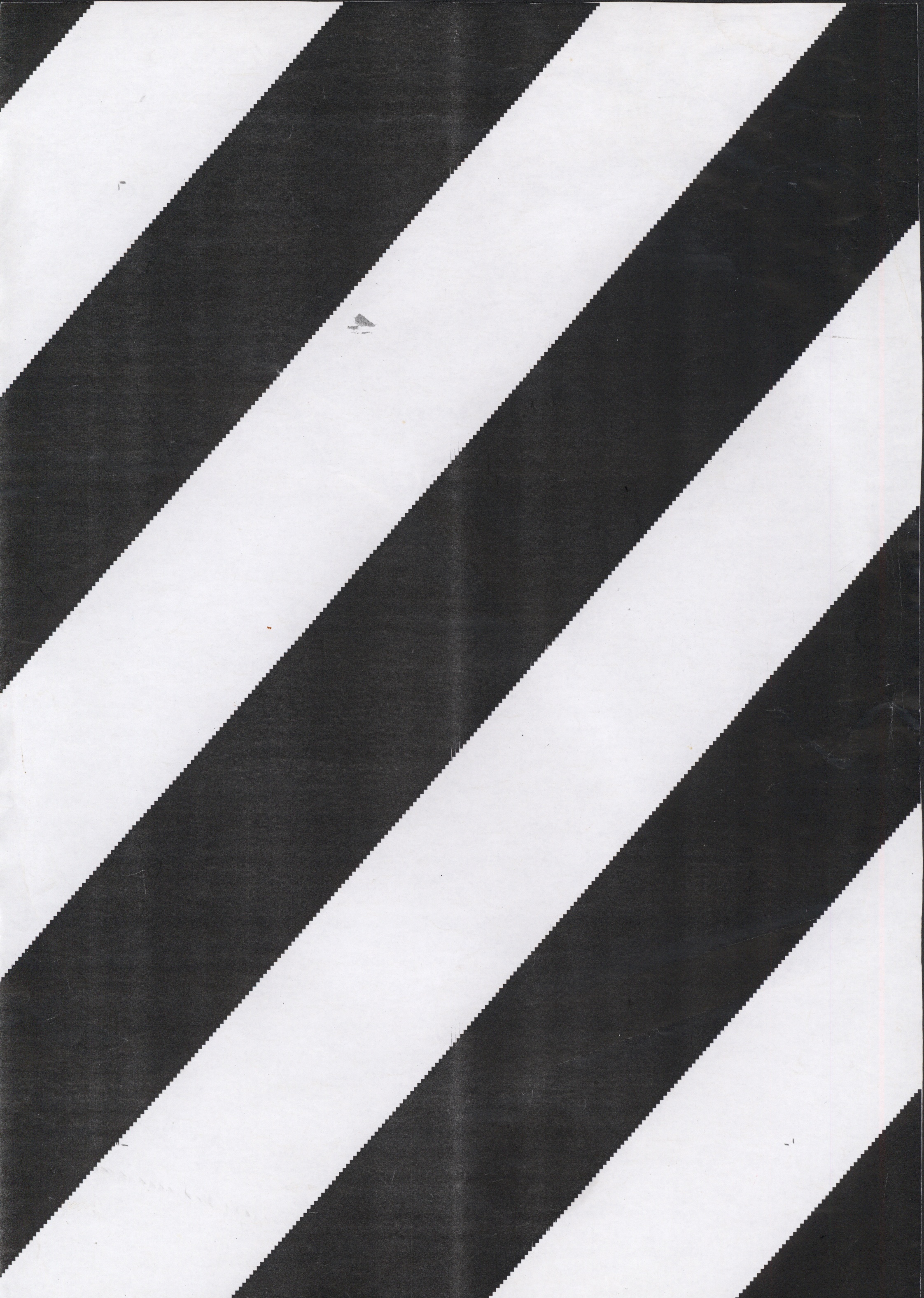 Avulsos_Koellreutter_00087
