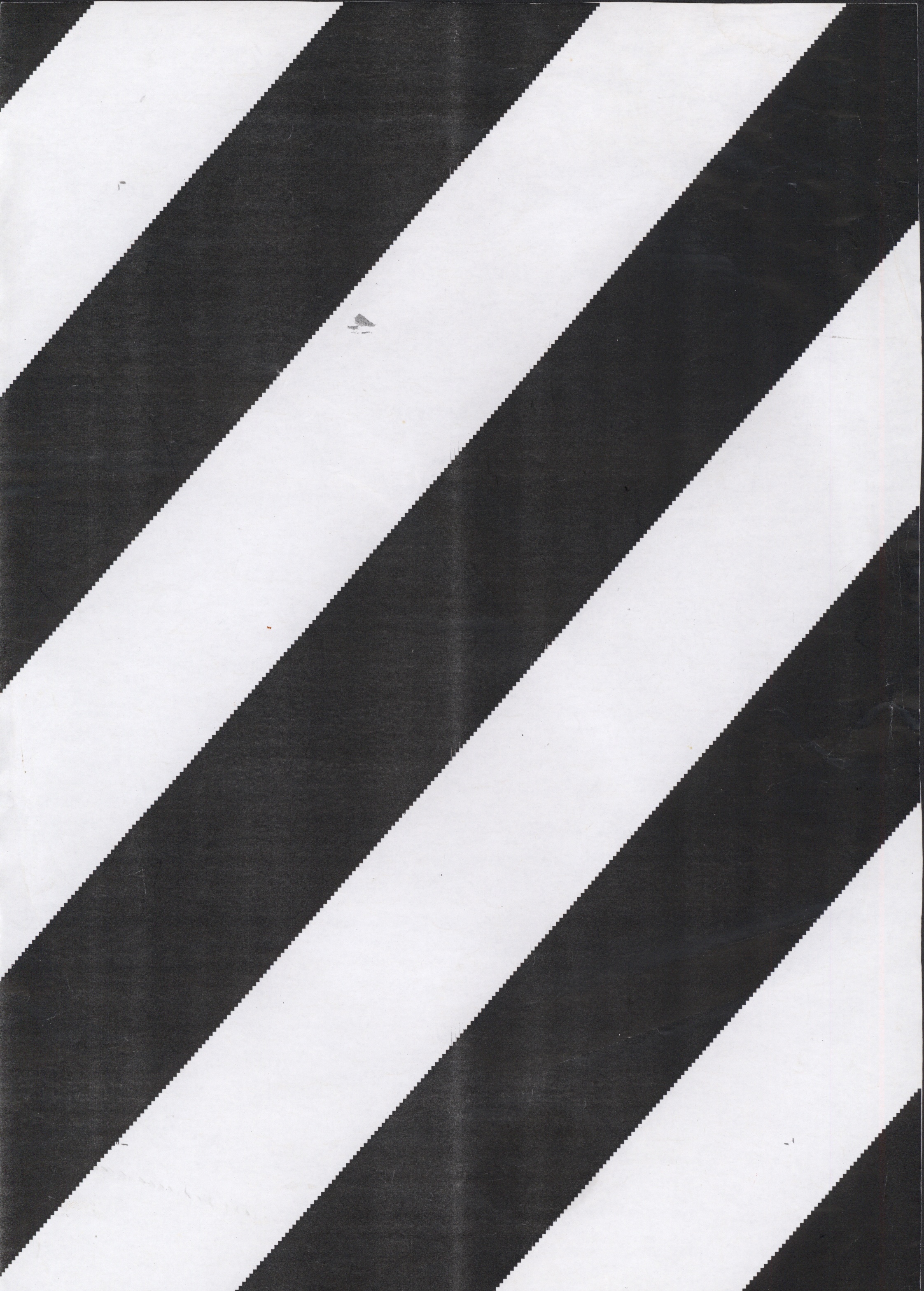 Avulsos_Koellreutter_00072