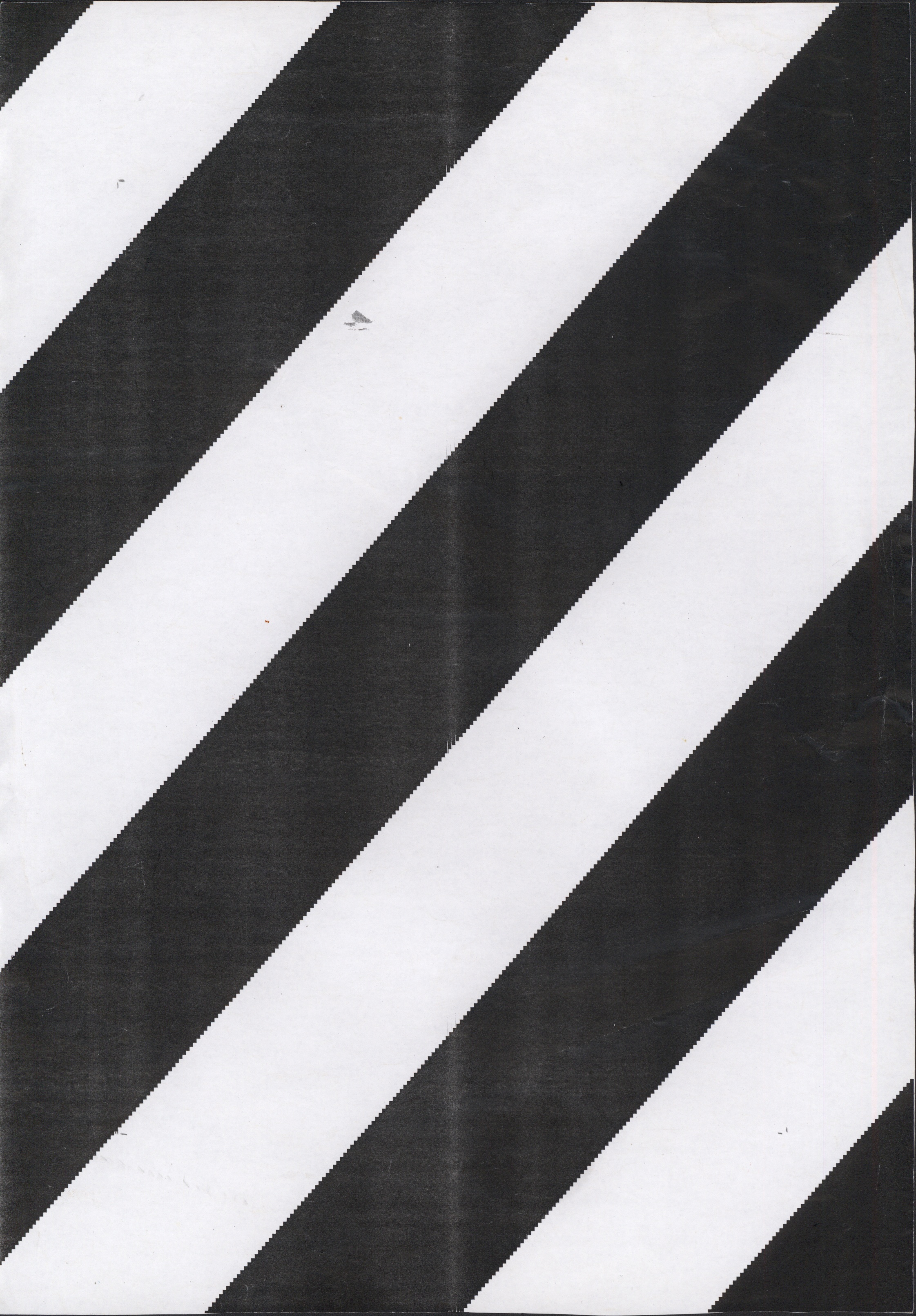 Avulsos_Koellreutter_00100