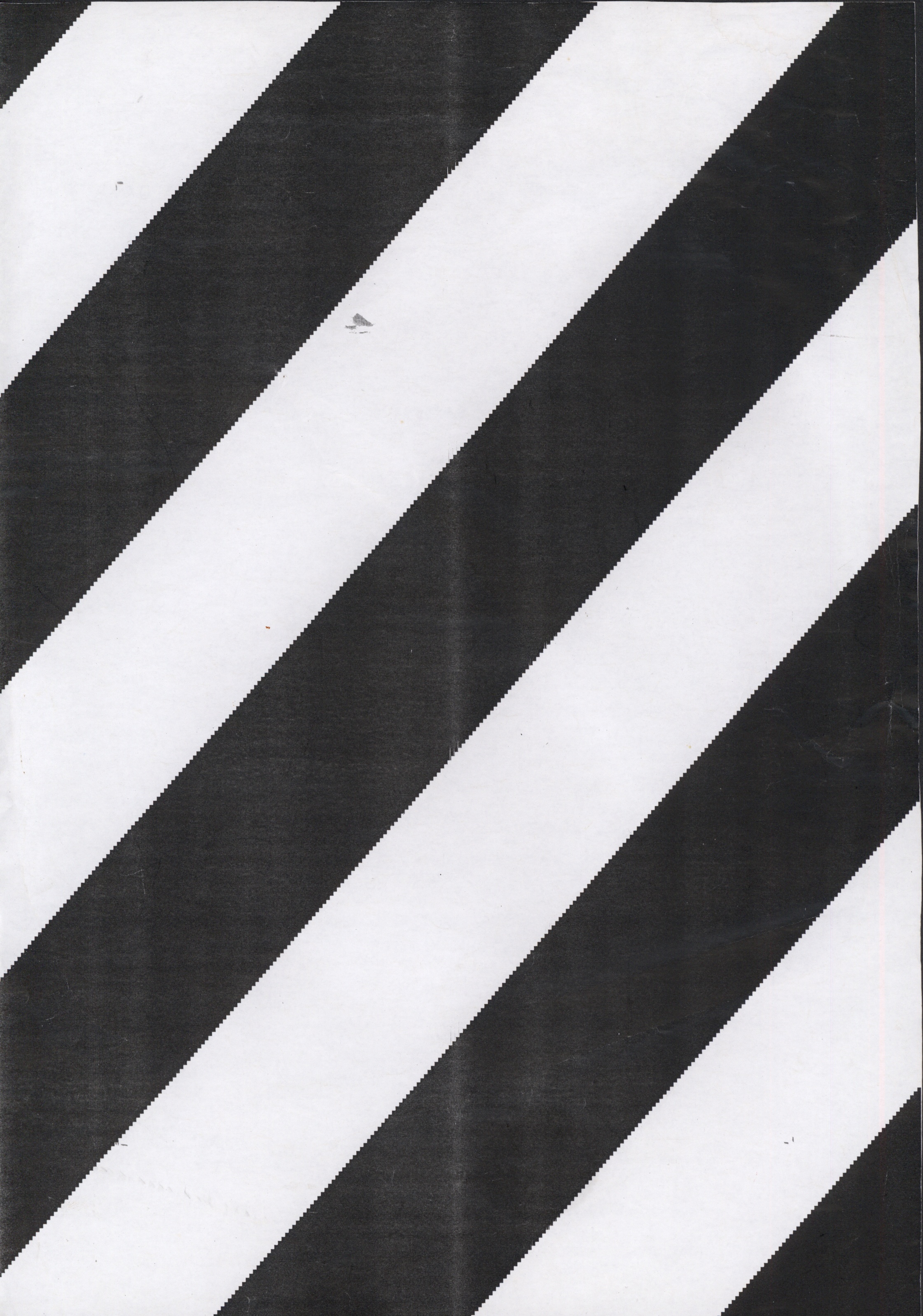 Avulsos_Koellreutter_00124