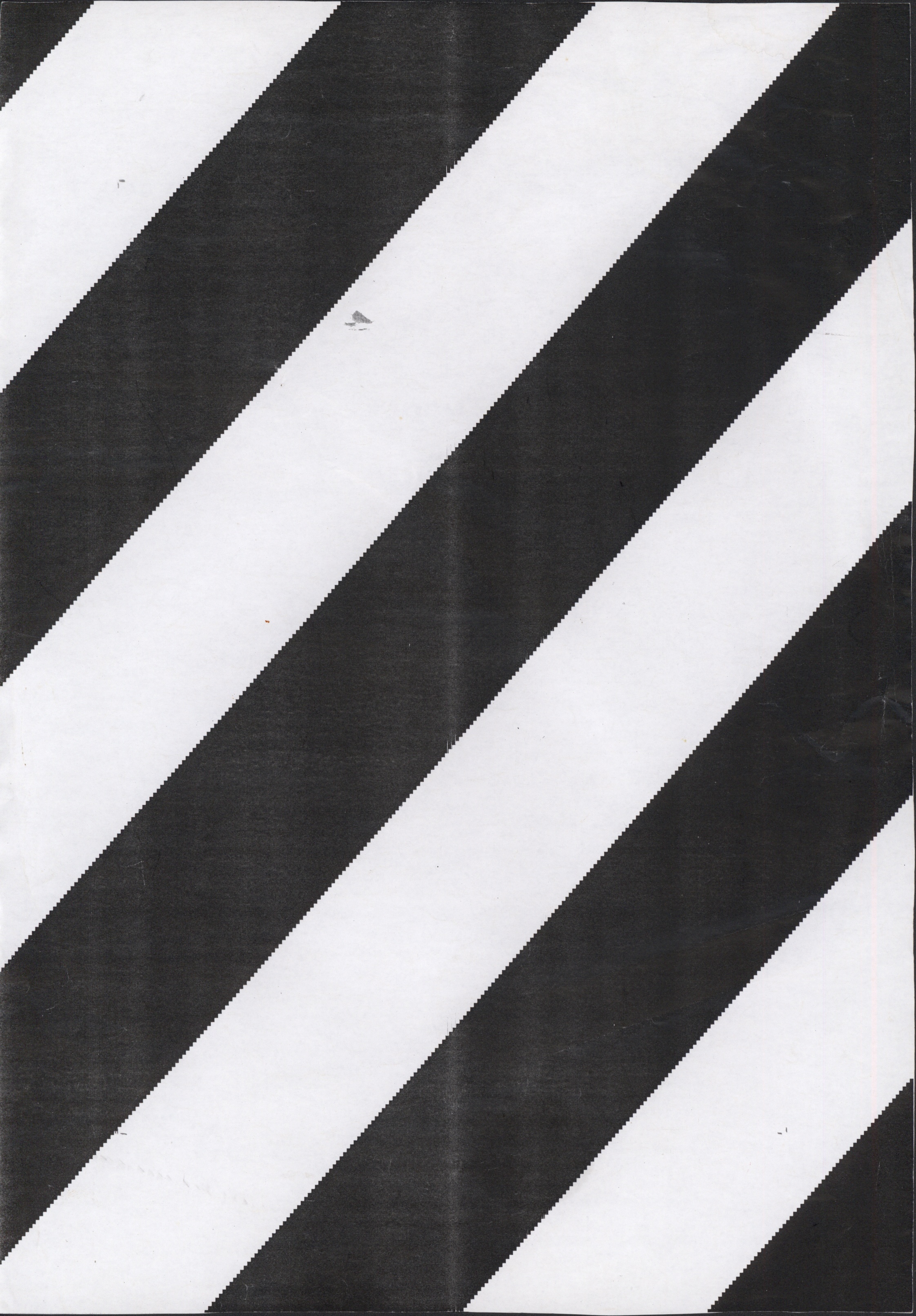 Avulsos_Koellreutter_00134