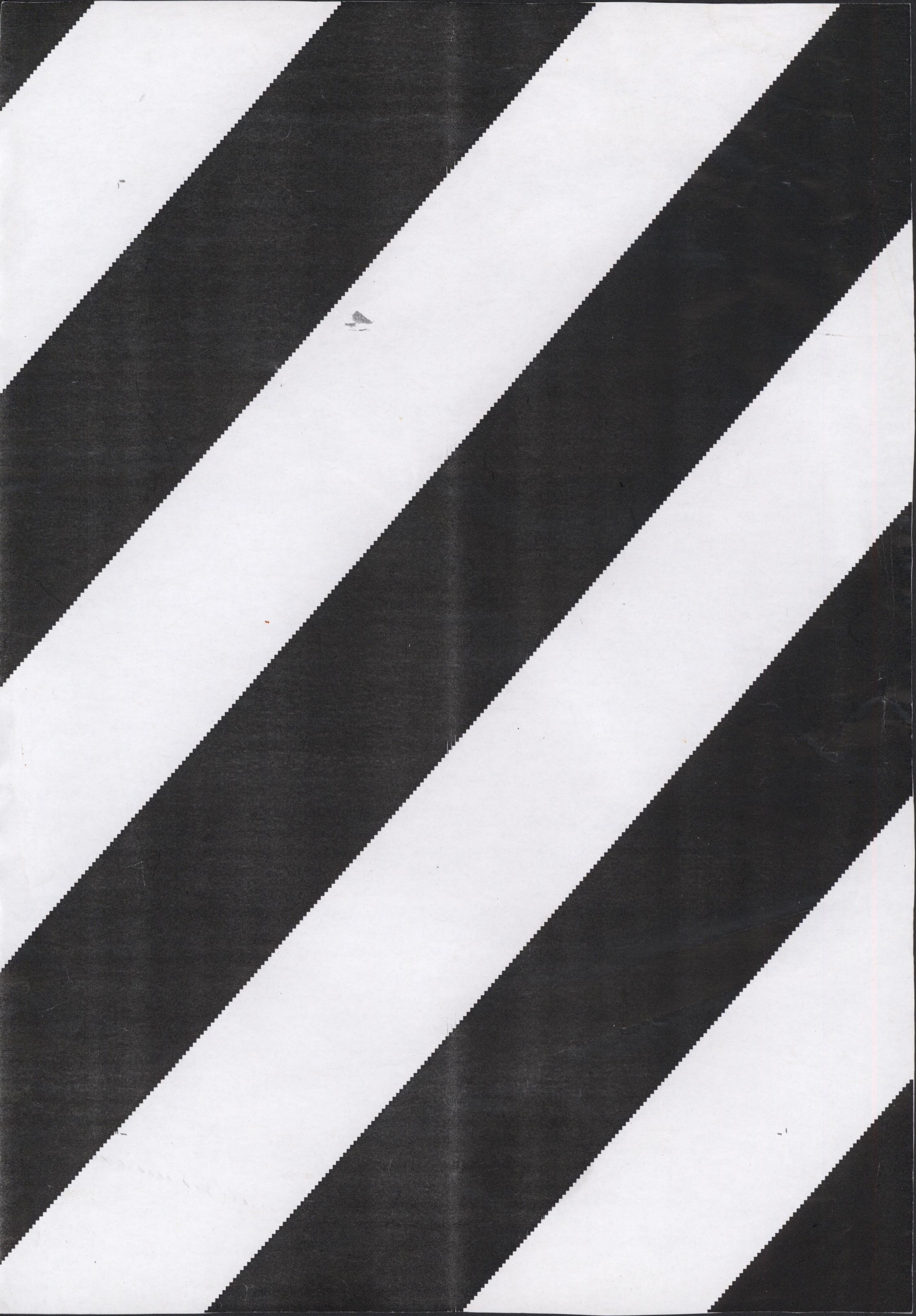 Avulsos_Koellreutter_00095
