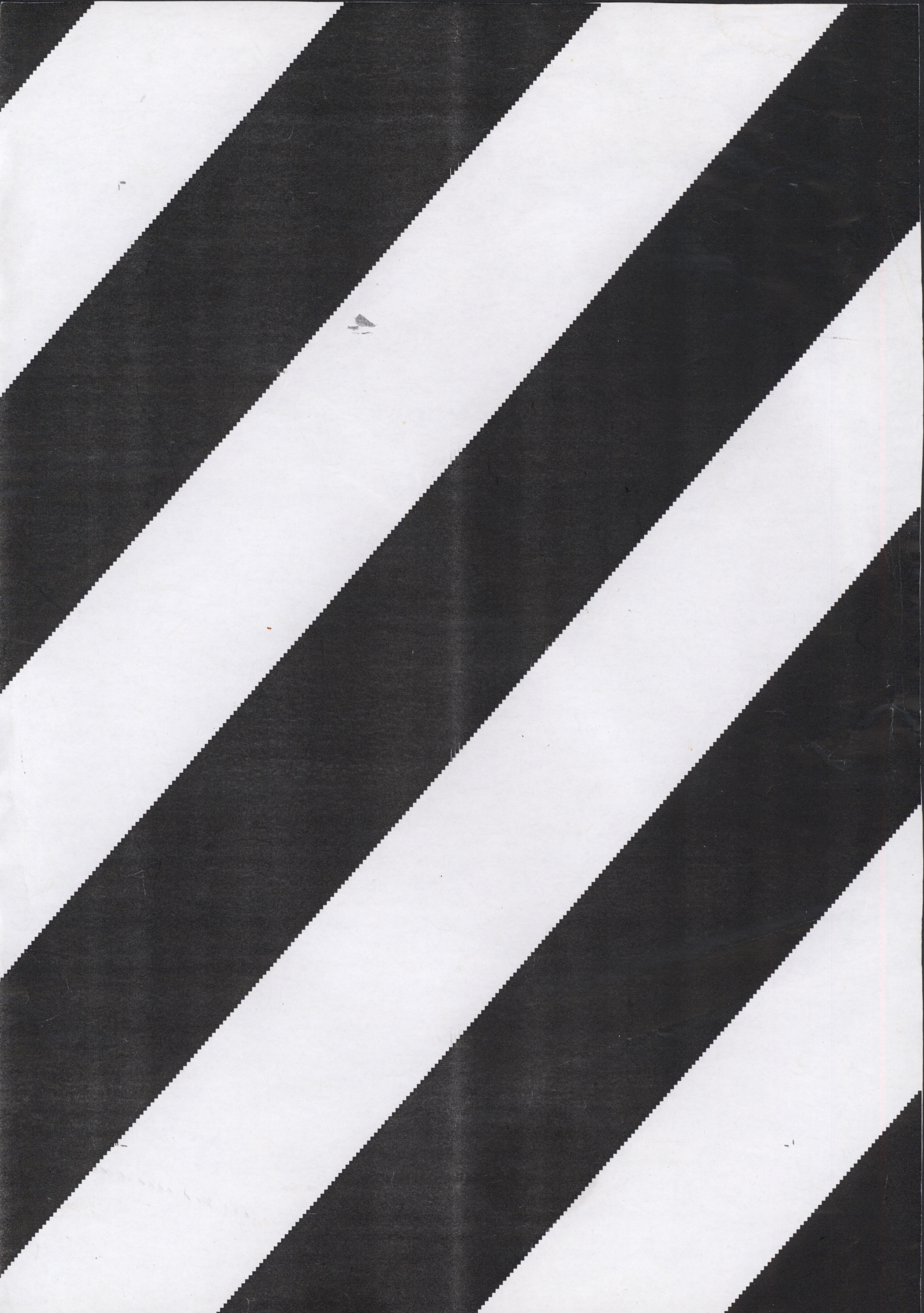 Avulsos_Koellreutter_00109