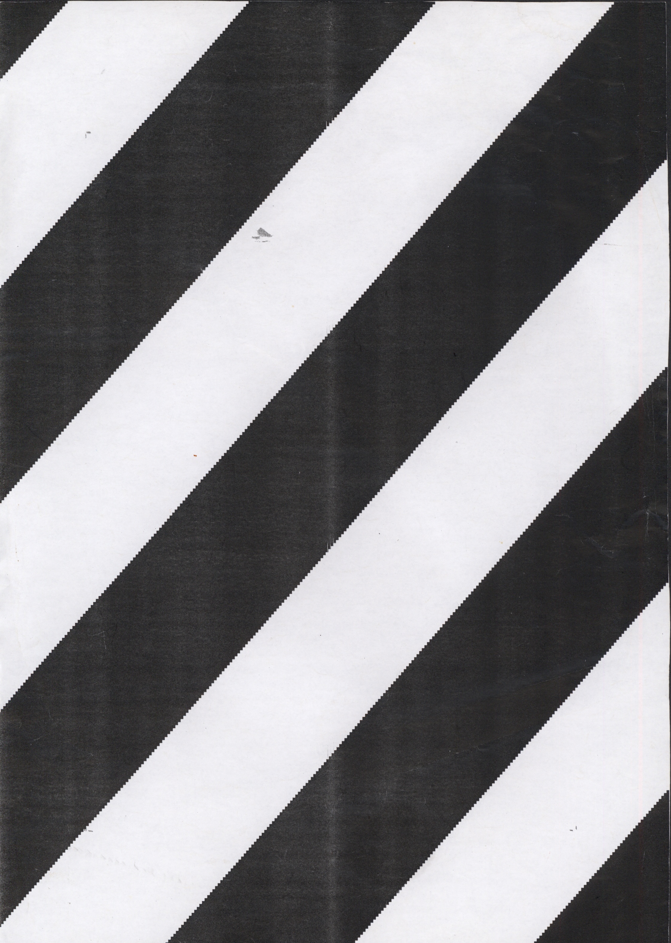 Avulsos_Koellreutter_00089