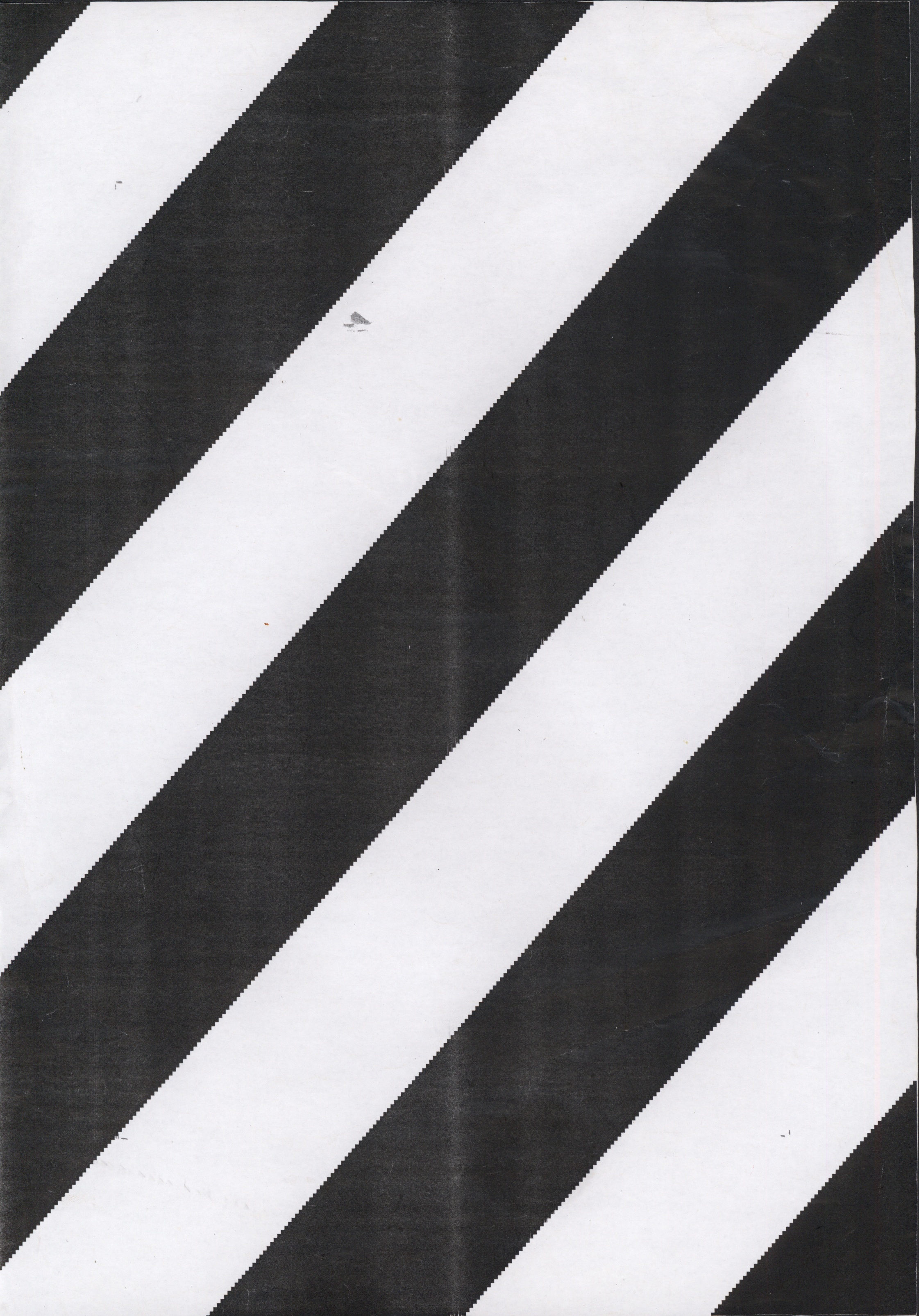 Avulsos_Koellreutter_00092