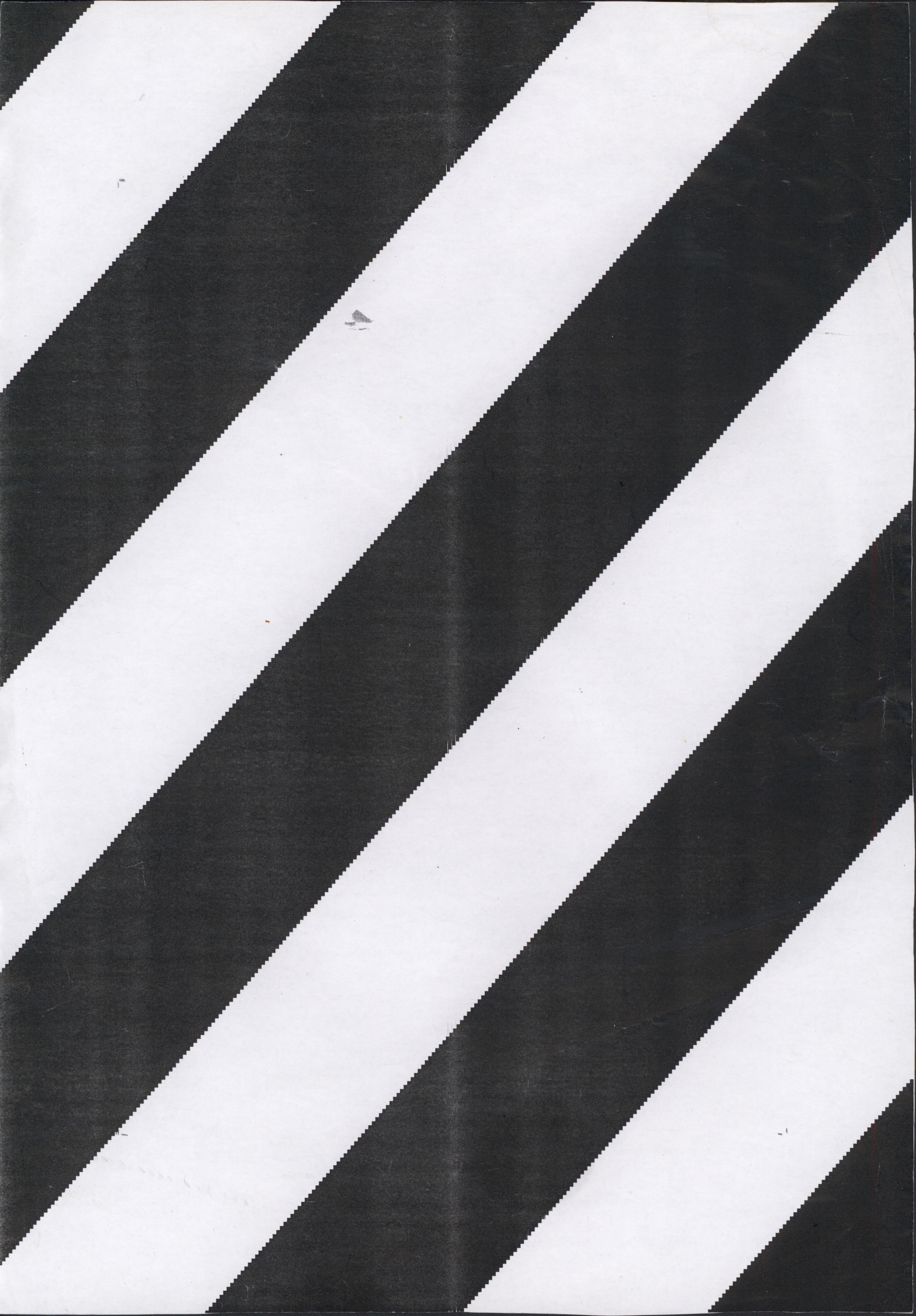 Avulsos_Koellreutter_00003
