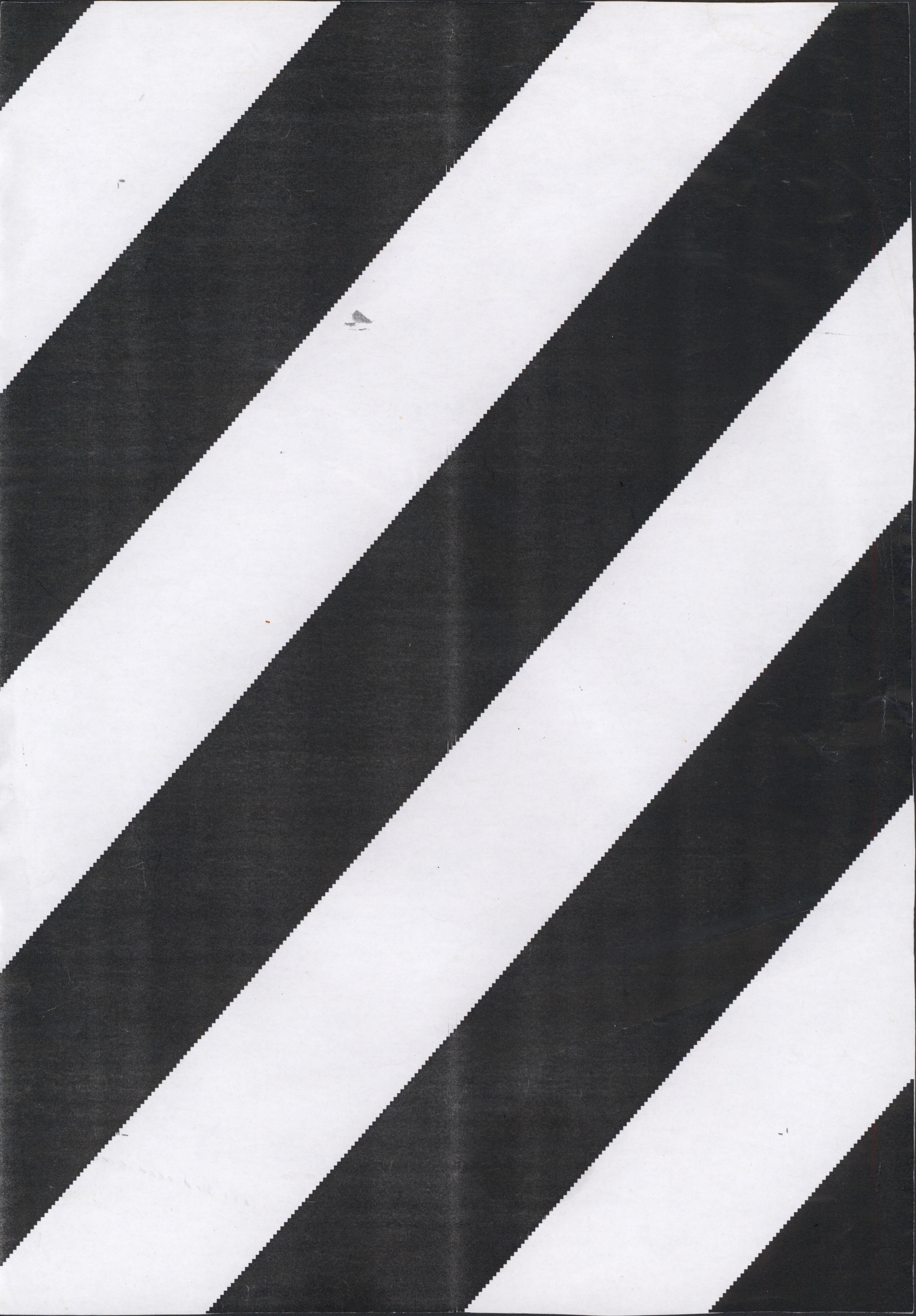 Avulsos_Koellreutter_00005