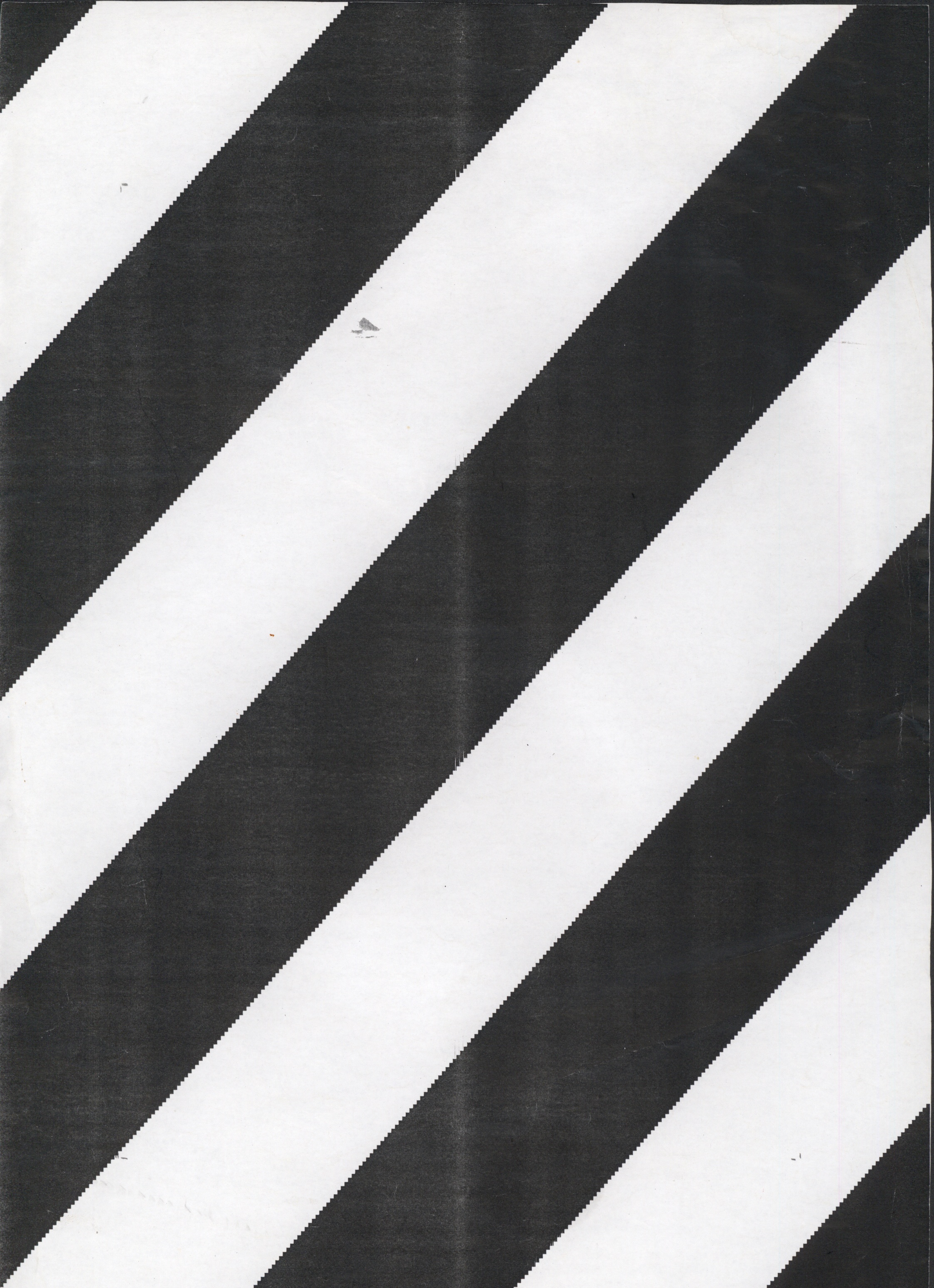 Avulsos_Koellreutter_00003