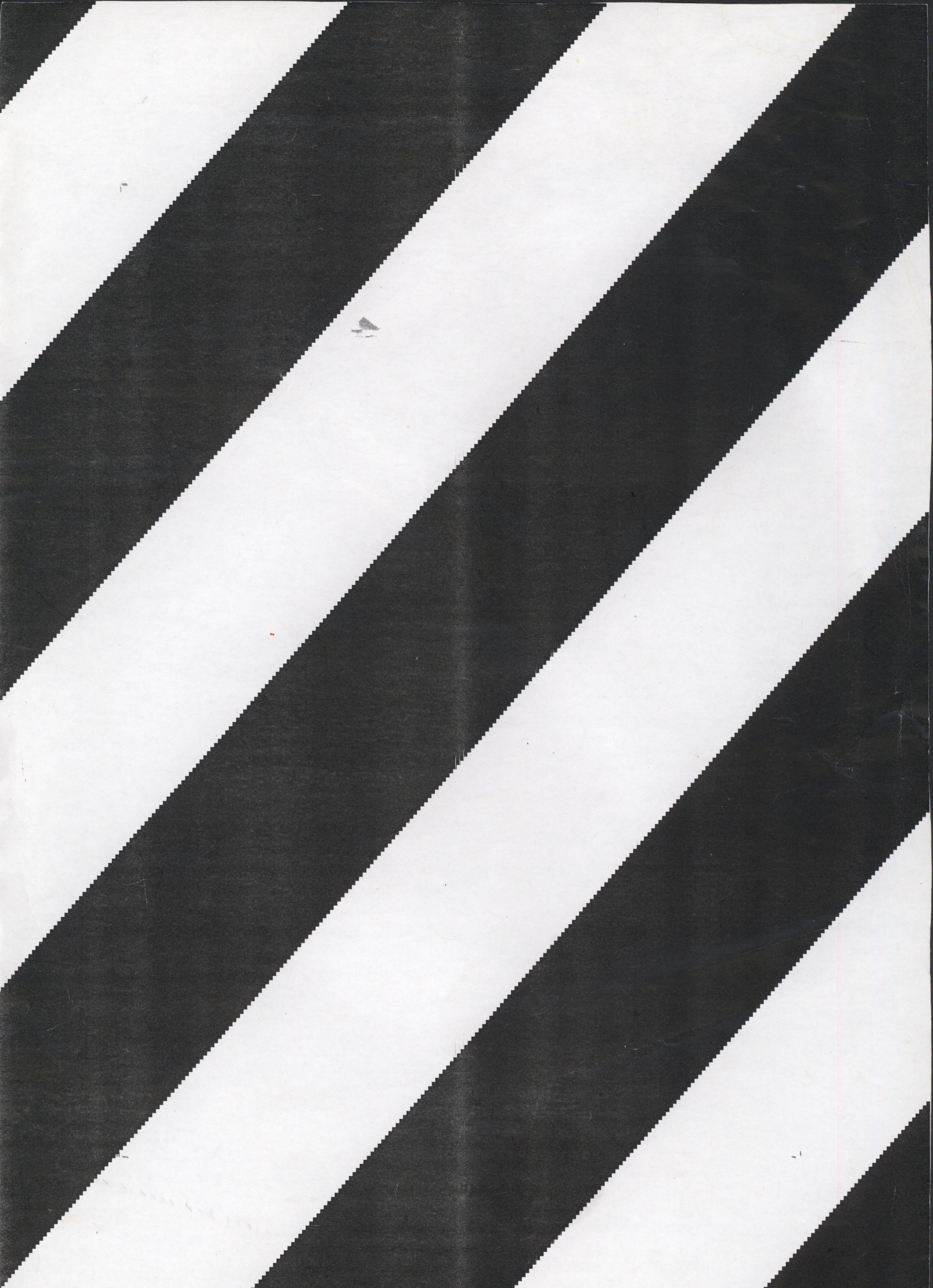 Avulsos_Koellreutter_00005