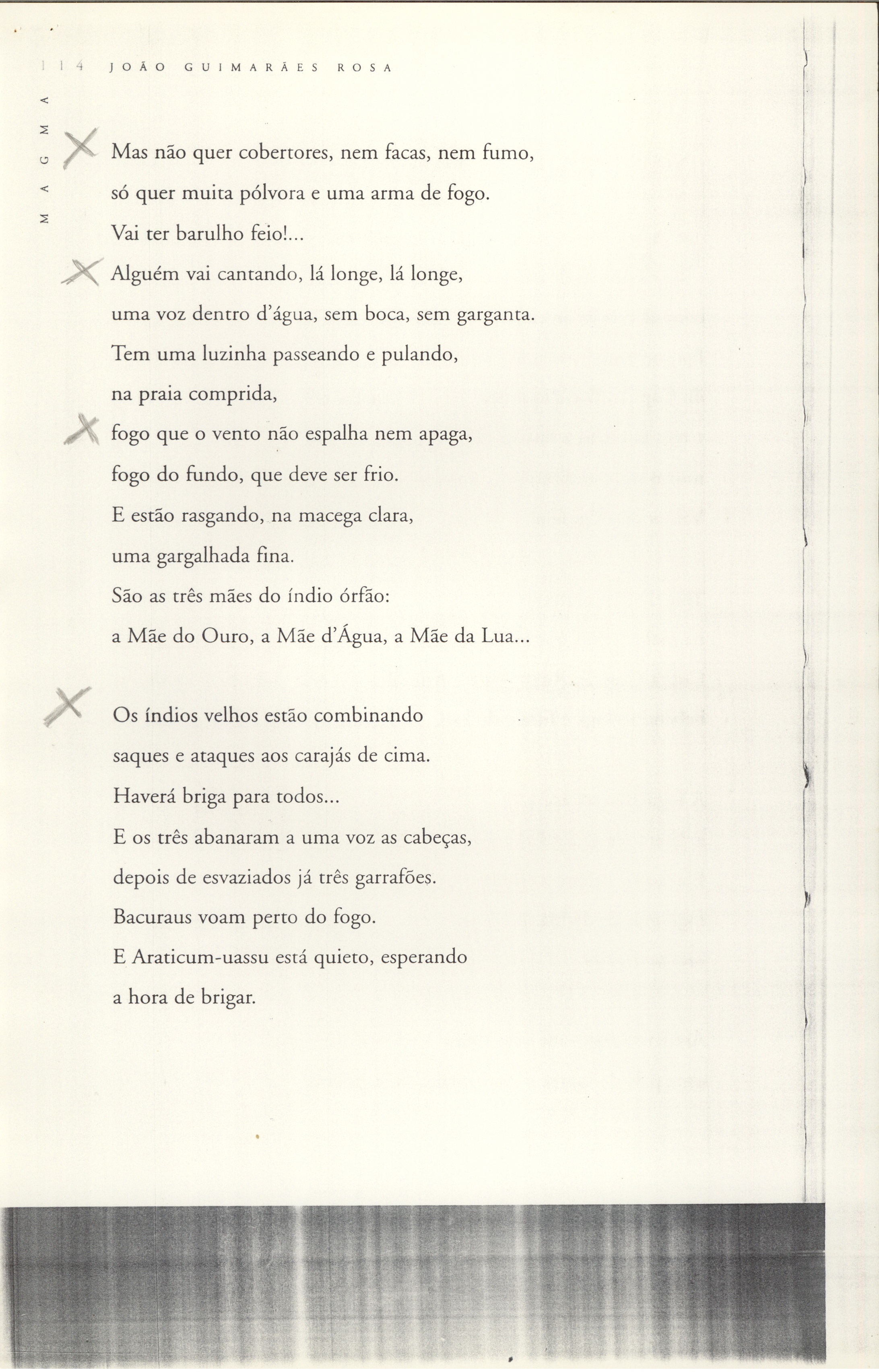 Avulsos_Koellreutter_00013